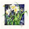 Daffodils I - Watercolor Paintings - By Janis Artino, Flowers Painting Artist