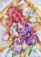 Iris - Watercolor Paintings - By Janis Artino, Flowers Painting Artist