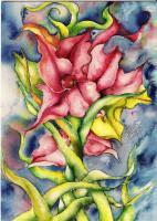 Poinsettia - Watercolor Paintings - By Janis Artino, Flowers Painting Artist