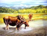 Moose Crossing - Oil Paintings - By Loretta Jenkins, Realistic Painting Artist
