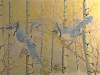 Wild Life - Blue Jays - Colored Pencil