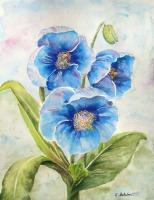 Blue Poppies - Watercolor Paintings - By Erika Kohutovic, Floral Painting Artist