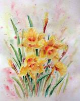Daffodils - Watercolor Paintings - By Erika Kohutovic, Floral Painting Artist