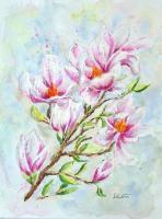 Magnolia - Watercolor Paintings - By Erika Kohutovic, Floral Painting Artist