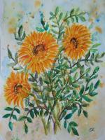 Gerbera - Watercolor Paintings - By Erika Kohutovic, Floral Painting Artist