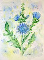 Floral - Forget Me Not - Watercolor