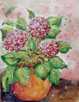 Hydrangea - Watercolor Paintings - By Erika Kohutovic, Floral Painting Artist