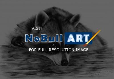 Wildlife Art - Cute Raccoon - Oil
