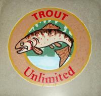 Brook Trout3 - Stains Paintings - By Craig Cantrell, Stains Painting Artist