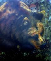 Michigan Black Bear - Oils Printmaking - By Craig Cantrell, Animala In Nature Printmaking Artist