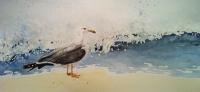 Seagull At Surf - Watercolour Paintings - By Bobby Keeling, Realism Painting Artist