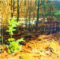 Landscape - Spring In Wood - Oil On Canvas