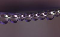 Tiny Bubbles - Canon 40D Photography - By Susan Campbell, Macro Photography Artist