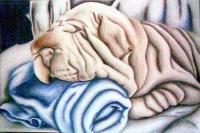 Doggy Nap - Color Pencil Drawings - By Ashley Warbritton, Realism Drawing Artist