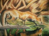 Fox By The Water - Watercolor Paintings - By Ashley Warbritton, Realism Painting Artist