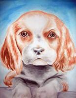 Puppy Love - Watercolor Paintings - By Ashley Warbritton, Realism Painting Artist