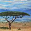 Espinheira African Tree - Oil Paintings - By Luisfnogueira Nogueira, Impressionism Painting Artist
