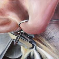 Tundr-Ear - Acrylic Paint Paintings - By Zoe Cappello, Painting Painting Artist