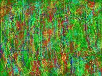Some Garden4 - Computer Digital - By Ariane Rockfield, Abstract Digital Artist