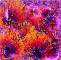 Flowers15 - Computer Digital - By Ariane Rockfield, Post-Modern Digital Artist