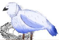 Mother Bird - Digital Drawings - By Muchael Suda, Painting Drawing Artist