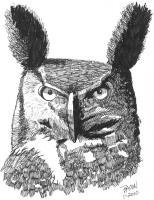 Great Horned Owl - Marker Drawings - By Bob Bacon, Line Art Drawing Artist