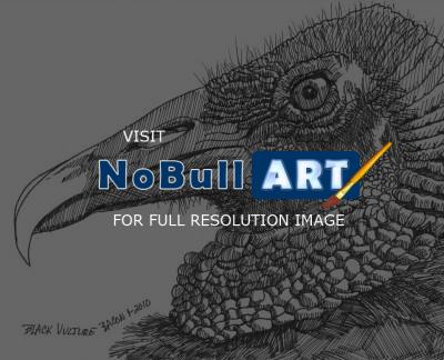 Wildlife Art - Black Vulture - Marker