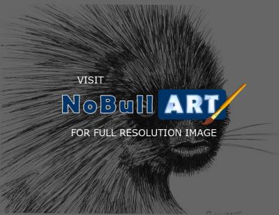 Wildlife Art - Porcupine - Marker