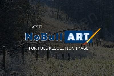 Bulkley Valley Scenes - First Snow Morning - Photo