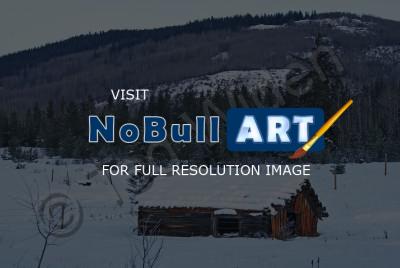 Bulkley Valley Scenes - Pioneer Cabin With Snow - Photo