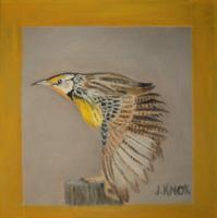 Bird In Flight - Oil On Canvas Paintings - By Joanne Knox, Originals Painting Artist