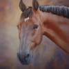 Bruno - Watercolor Paintings - By Kathryn Ragan, Realistic Contemporary Painting Artist