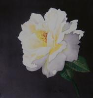 Floral - Stark Beauty - Watercolor