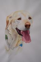Carmella - Watercolor Paintings - By Kathryn Ragan, Realistic Contemporary Painting Artist