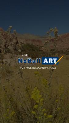 Expressive Landscapes - Arizona - Digital
