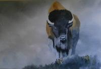 Bison - Oil Paintings - By Andy Davis, Realism Painting Artist