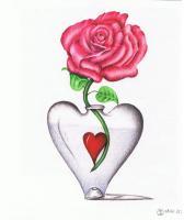 Rose In Heart Vase - Pen Drawings - By Michael Cameron, Free Hand Drawing Artist
