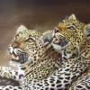 Leopard Twins - Oil Paintings - By Anet Du Toit, Realistic Painting Artist