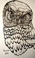 Arnold The Owl - Ball Point Pen Drawings - By Young Eyes, Fine Art Drawing Artist