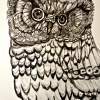 Arnold The Owl - Ball Point Pen Drawings - By Young Eyes, Fine Art Drawing Artist
