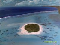 Far Above The Reef - Acrylic Paintings - By Sam Mcilwain, Realism Painting Artist