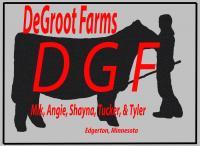 Dgf 2 - Photo Shop Digital - By Shayna Degroot, Photo Shop Digital Artist
