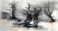 Drawing - M - Charcoal