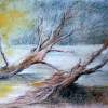 One Pair Of Tree Near By Eachother On Two Ways - Mixed Media Drawings - By John Biro, Drawing Drawing Artist