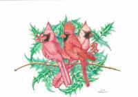Birds 002 - Colored Pencil Drawings - By Michelle B Killman, Pencil Drawing Artist