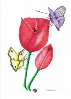 Flower 001 - Colored Pencil Drawings - By Michelle B Killman, Pencil Drawing Artist