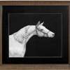 White Horse - Artwork Drawings - By Tanya Anisimova, Rapidograph Drawing Artist