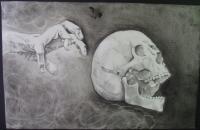 Untitled - Graphite Drawings - By Tashila Hood, Sketches Drawing Artist
