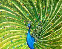 Glorious Peacock - Acrylic On Canvas Paper Paintings - By Manjiri Kanvinde, Realism Painting Artist