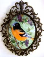 Oriole - Acrylic Paintings - By Fram Cama, Realism Painting Artist
